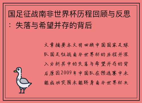 国足征战南非世界杯历程回顾与反思：失落与希望并存的背后